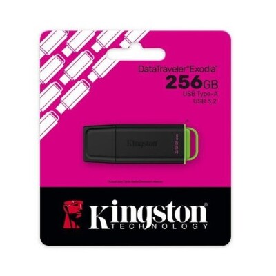 Kingston 256GB Exodia G2 DTXG2/256GB