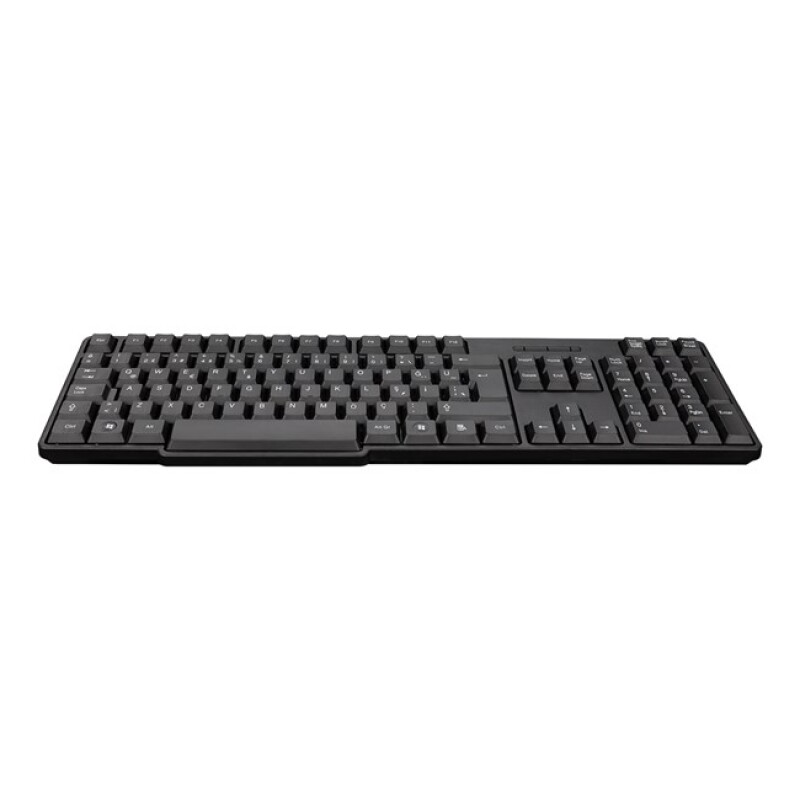 Everest USB Q Standart Siyah Klavye (KB-517U)