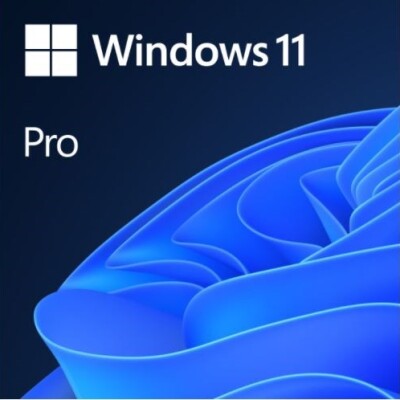 Windows 11 Pro Türkçe Oem (64 Bit) FQC-10556