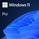 Windows 11 Pro Türkçe Oem (64 Bit) FQC-10556