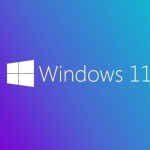 Windows 11 Pro İngilizce Oem (64 Bit) FQC-10528