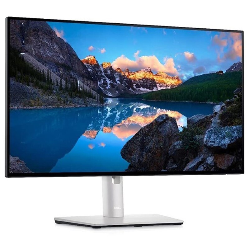 Dell Ultrasharp U2424HE 23.8'' 5m Type-C Pivot IPS