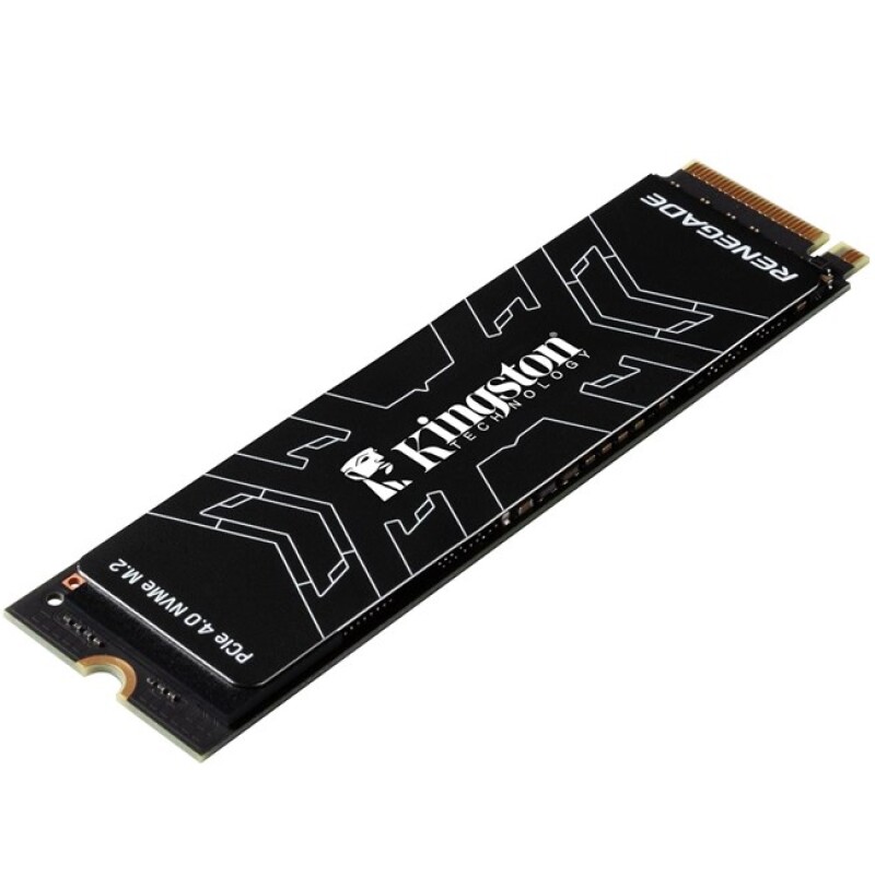 Kingston Renegade 500GB M.2 NVMe (7300-3900MB/s)