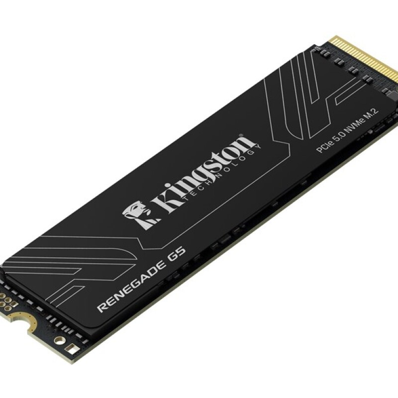Kingston Renegade G5 1TB M.2 NVMe 14200-11000MB/s