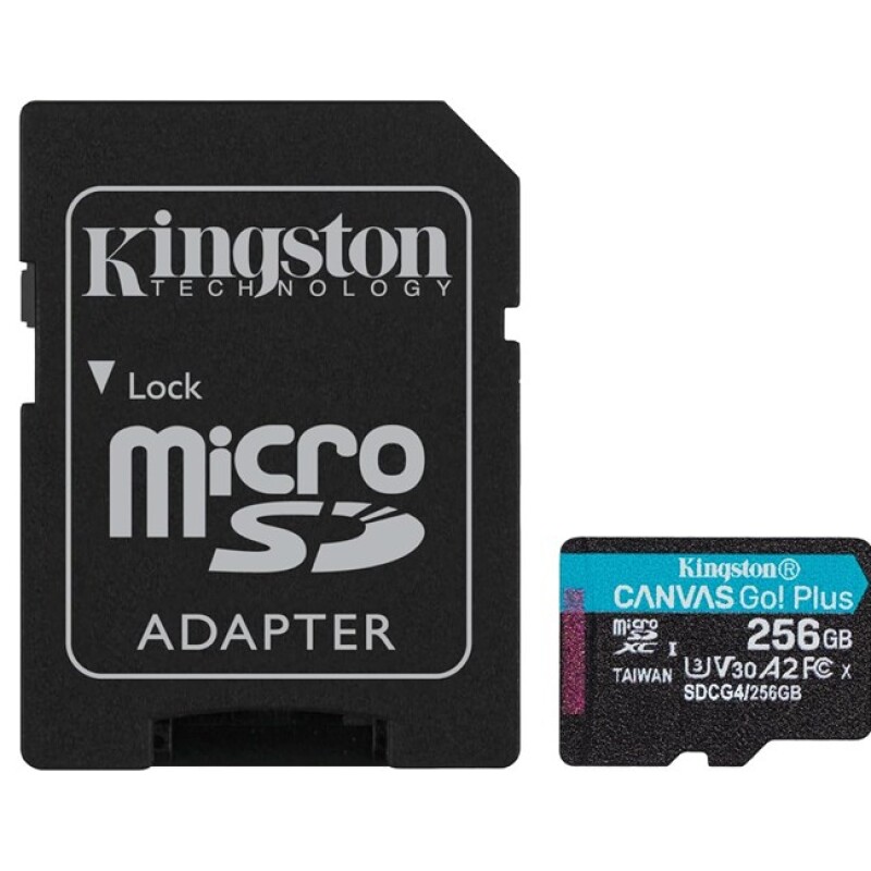 Kingston 256GB mSDXC CanvasGo+ 200MB SDCG4/256GB