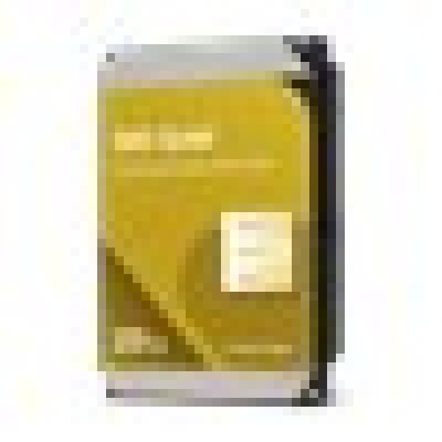 WD Gold Enterprise Class 20TB - WD203KRYZ